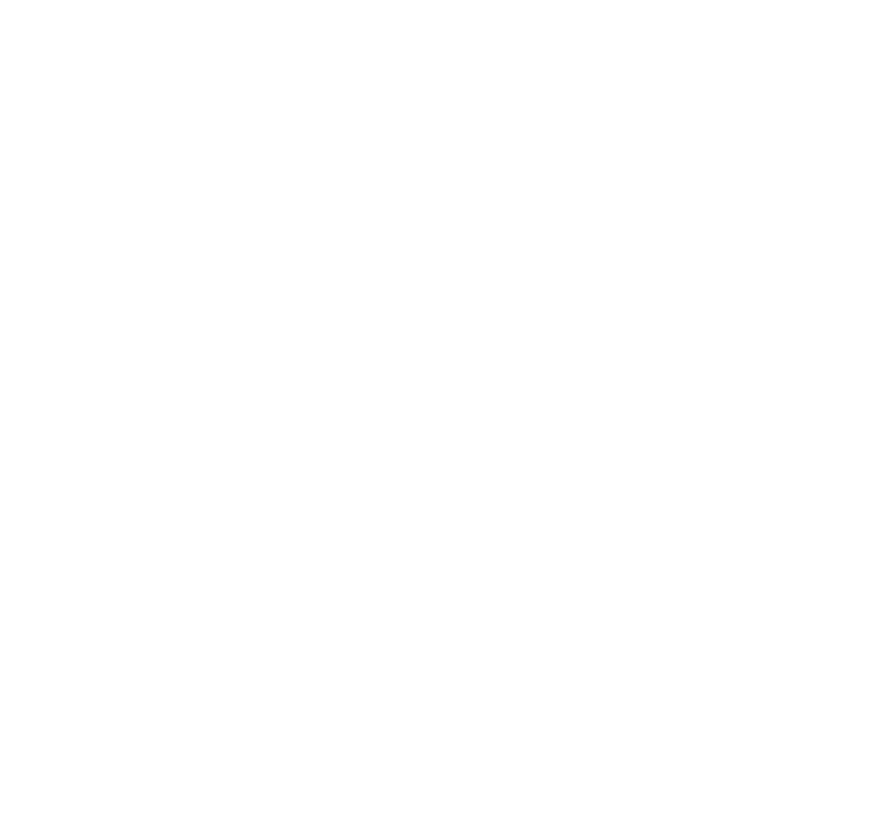 swag_detailing_cosmetics_basic_line